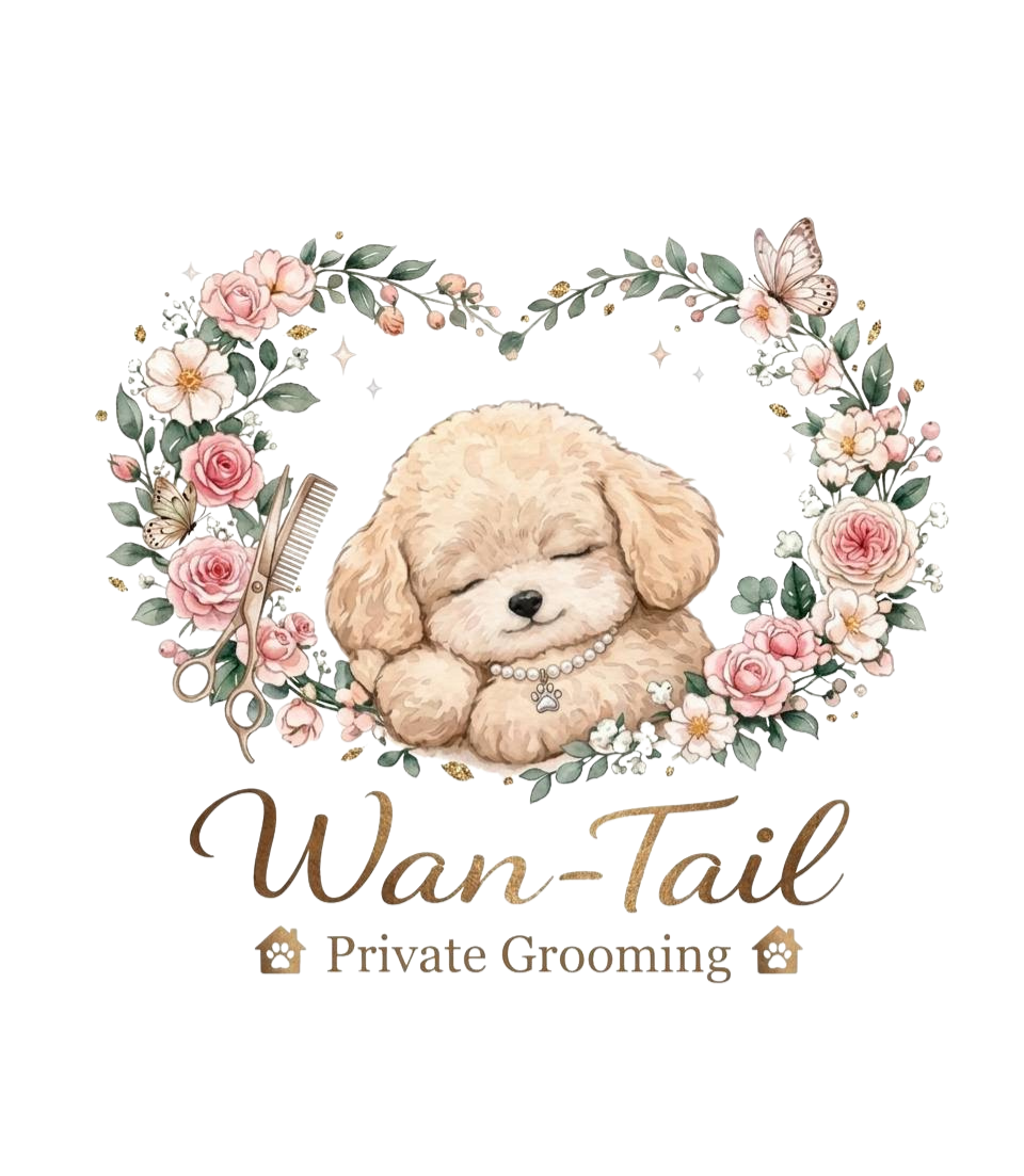 Wan-Tail